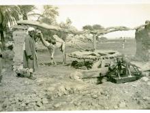 7Daramalliworkinghissaqiehc.1920.jpg