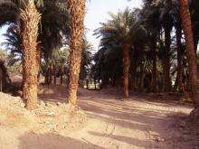 demolitions of old houses and walls beside Seti 1998 