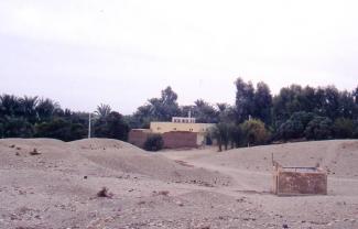 SheikhGarib1998mosqueinbackground.jpg