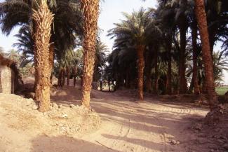 demolitions of old houses and walls beside Seti 1998 