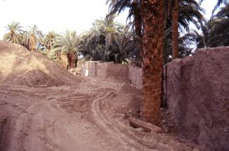 demolitions of old houses and walls beside Seti 1998 3