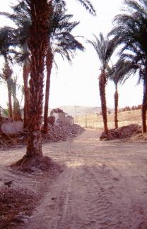 demolitions of old houses and walls beside Seti 1998 4