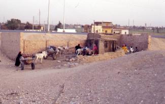 water collection 1998